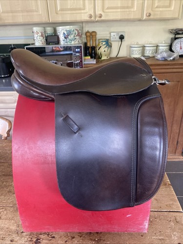Pony cob horse - cob, &